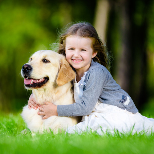 Andrae Michaels National Portrait Studio provides family pet photography services